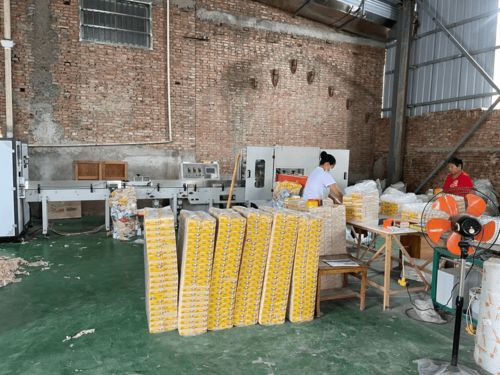 農村辦衛生紙加工廠 市場前景與個人衛生用品銷售策略探析