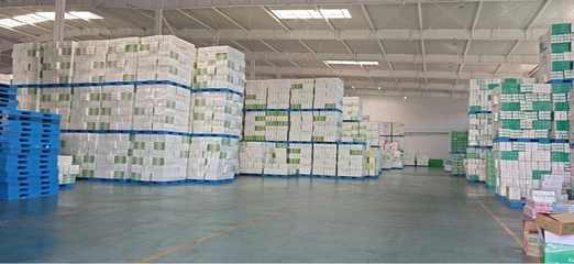 遼寧雨森 年產16萬噸生活用紙，深耕個人衛生用品領域